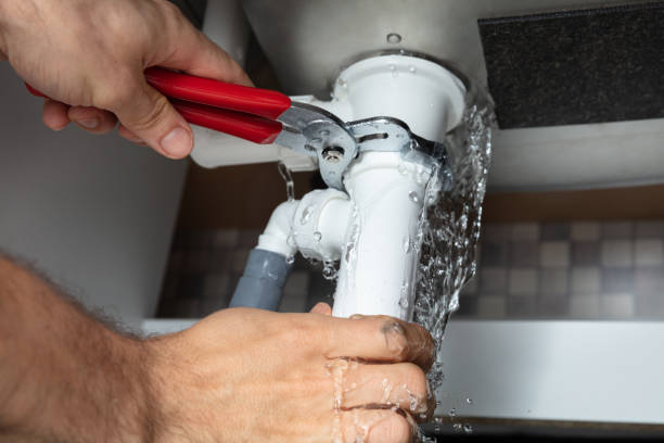 Best Flood damage cleanup  in Wesley Chapel, FL