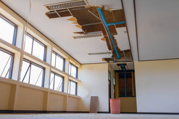 Best Emergency water damage restoration  in Wesley Chapel, FL