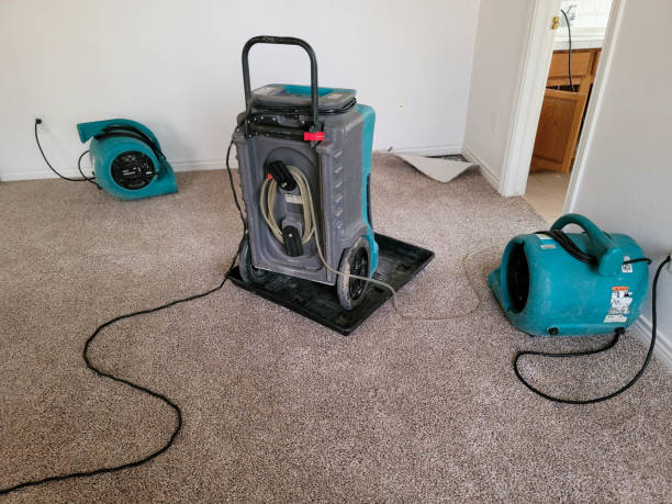 Best 24/7 water damage repair  in Wesley Chapel, FL