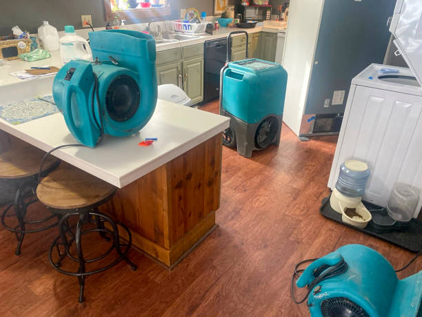  Wesley Chapel, FL Water damage restoration Pros