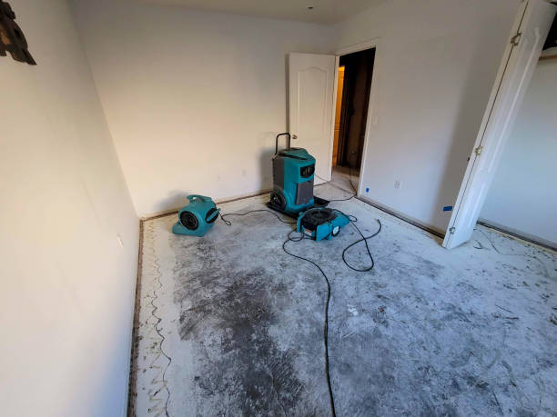 Best Sewage cleanup and water damage restoration  in Wesley Chapel, FL
