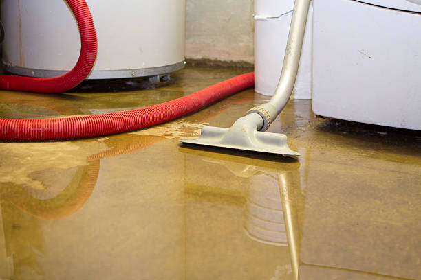 Best Water damage restoration process  in Wesley Chapel, FL