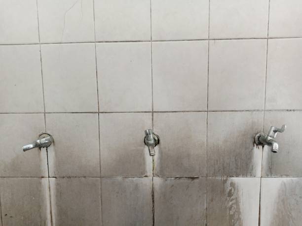 Water damage restoration insurance claims in Wesley Chapel, FL