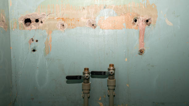 Best Residential water damage restoration  in Wesley Chapel, FL