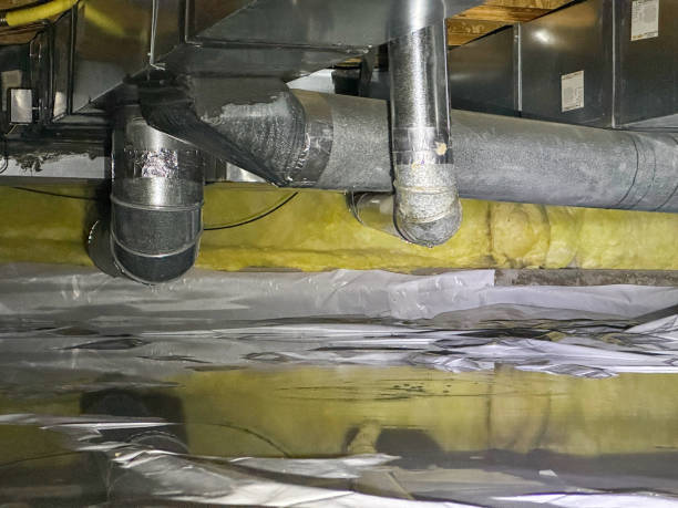 Local water damage restoration in Wesley Chapel, FL