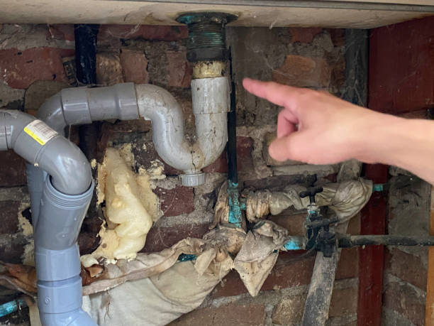 Best Professional water damage repair  in Wesley Chapel, FL