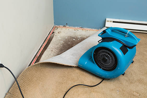 Best Local water damage restoration  in Wesley Chapel, FL